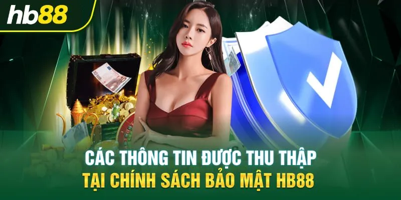 Thông tin thu nhập từ chính sách HB88